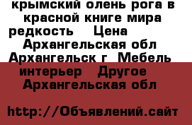 крымский олень рога в красной книге мира редкость  › Цена ­ 20 000 - Архангельская обл., Архангельск г. Мебель, интерьер » Другое   . Архангельская обл.